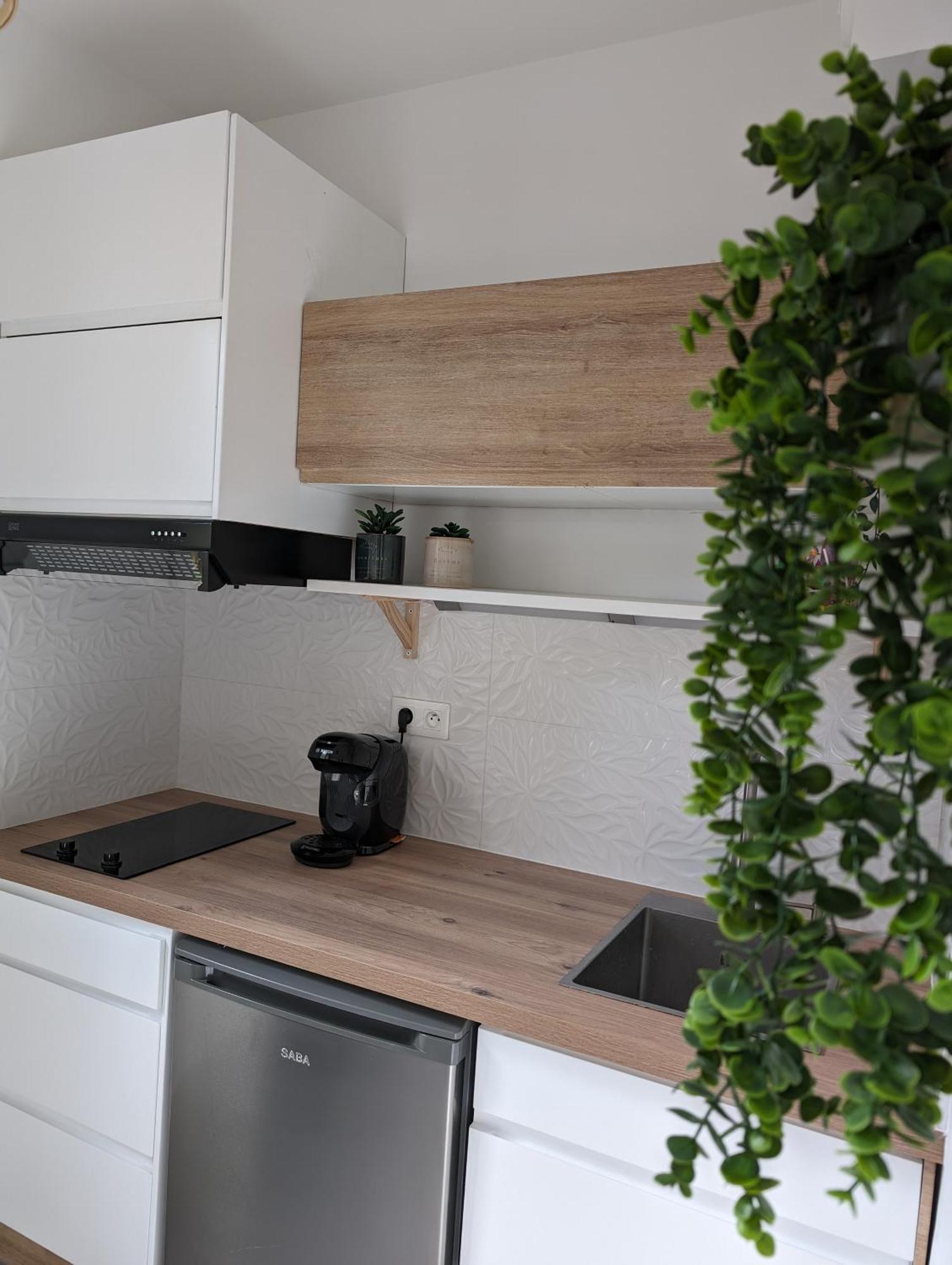 Appartement Cosy Au Calme A Cote Du Zoo Avec Balcon Et Parking Securise Montpellier Eksteriør billede